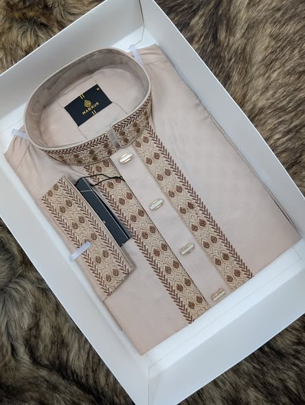 Elegant White Panjabi Portrait